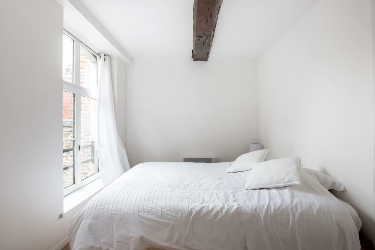Les 3 Mollettes Du Vieux Lille Apartment Екстериор снимка